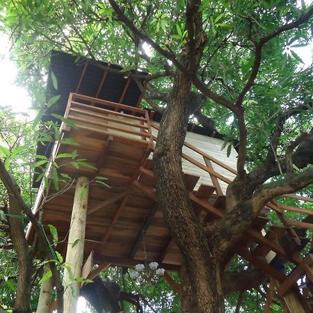 Casa Na Arvore Salvador Exterior photo