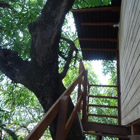 Casa Na Arvore Salvador Exterior photo