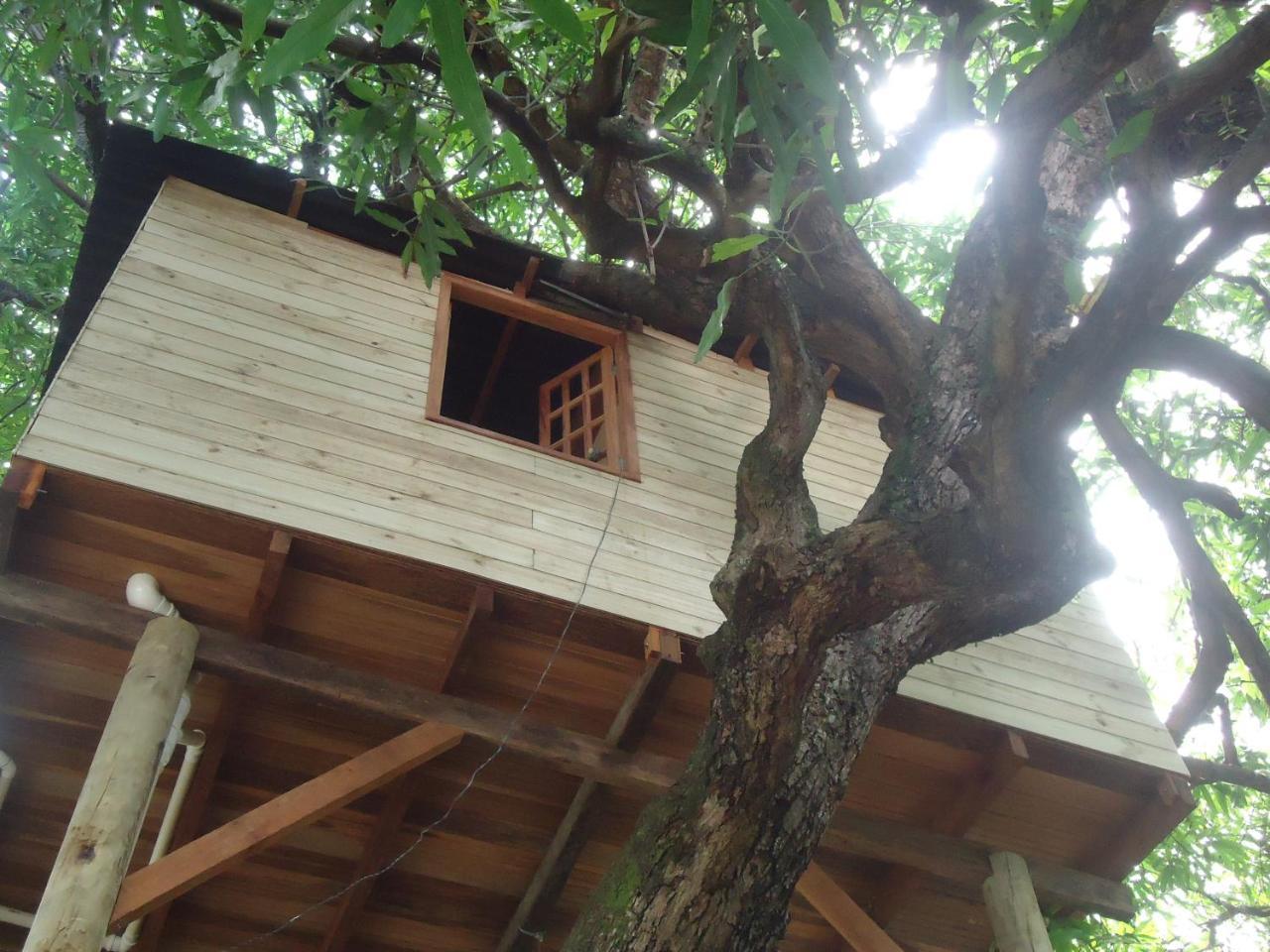 Casa Na Arvore Salvador Exterior photo